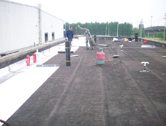 20120517204248563.jpg 20120517204248563.jpg